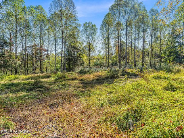 Friendship Hollow Rd, Speedwell, TN 37870
