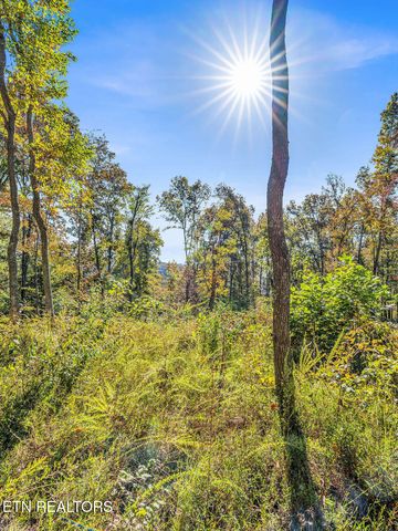 Friendship Hollow Rd, Speedwell, TN 37870