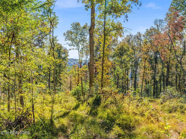 Friendship Hollow Rd, Speedwell, TN 37870