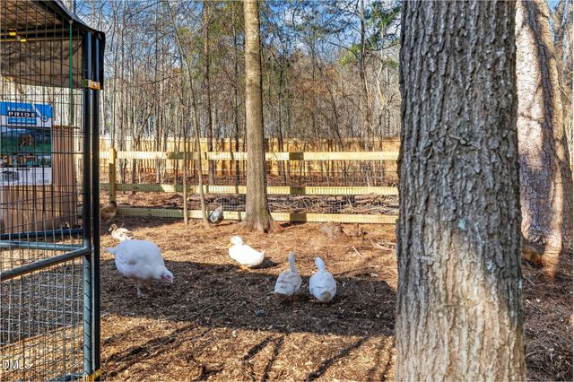 35 Chester Lane, Middlesex, NC 27557