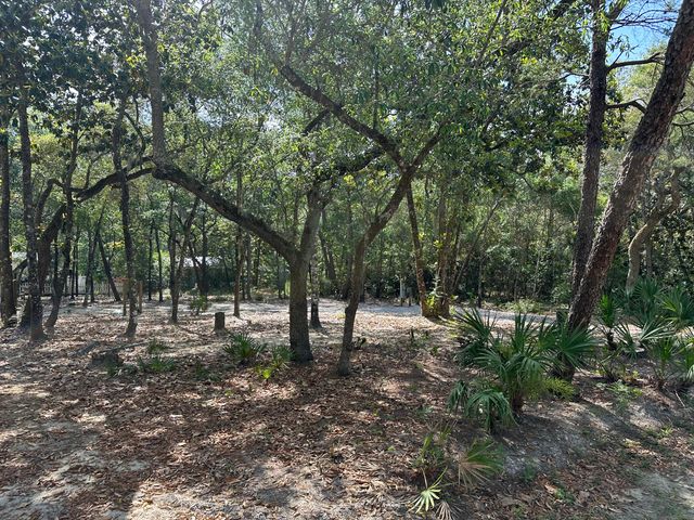 xx Turquoise Beach Drive, Santa Rosa Beach, FL 32459