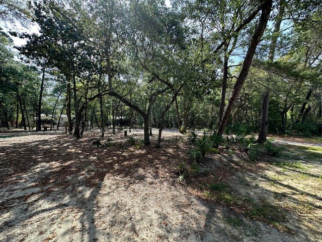 xx Turquoise Beach Drive, Santa Rosa Beach, FL 32459