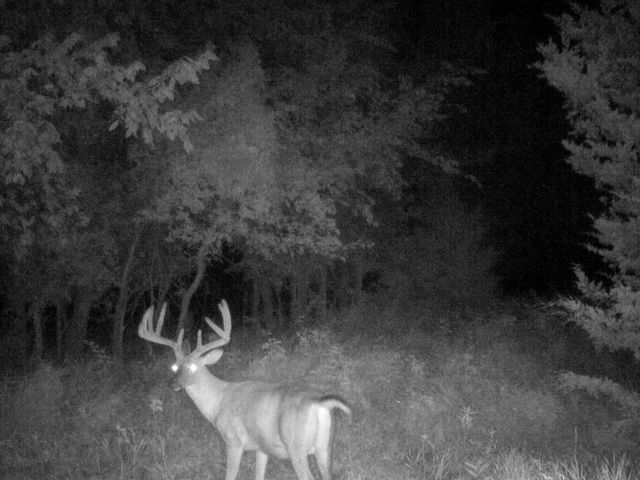 000 365th Street, Truro, IA 50257