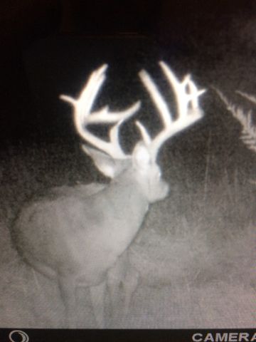 000 365th Street, Truro, IA 50257