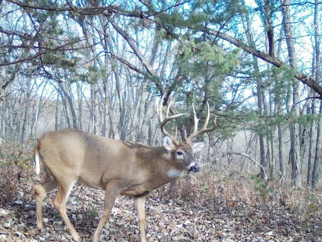 000 365th Street, Truro, IA 50257