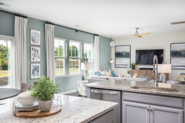 547 Red Monarch Way, Moncks Corner, SC 29461