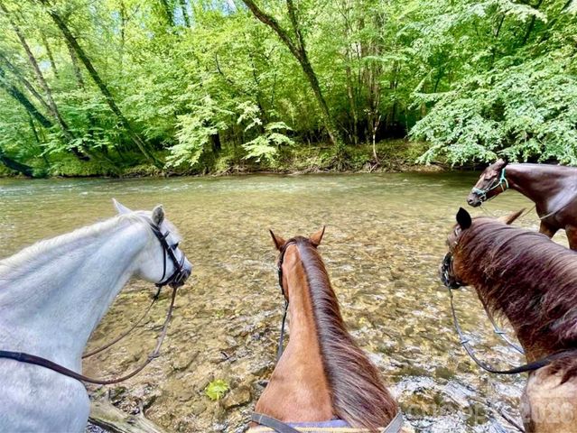 Lot 42, Round Mountain Parkway 42, Lenoir, NC 28645