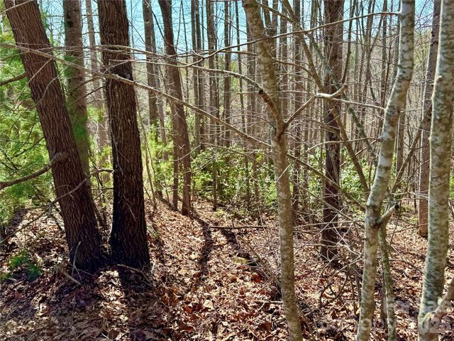 Lot 42, Round Mountain Parkway 42, Lenoir, NC 28645