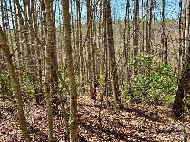 Lot 42, Round Mountain Parkway 42, Lenoir, NC 28645