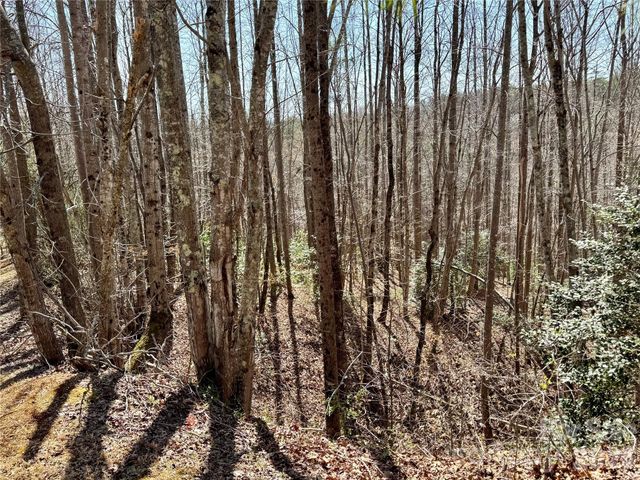 Lot 42, Round Mountain Parkway 42, Lenoir, NC 28645