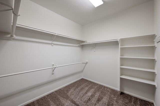 14 S Bristol Oak Circle, The Woodlands, TX 77382