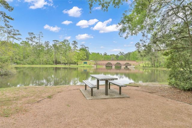 14 S Bristol Oak Circle, The Woodlands, TX 77382