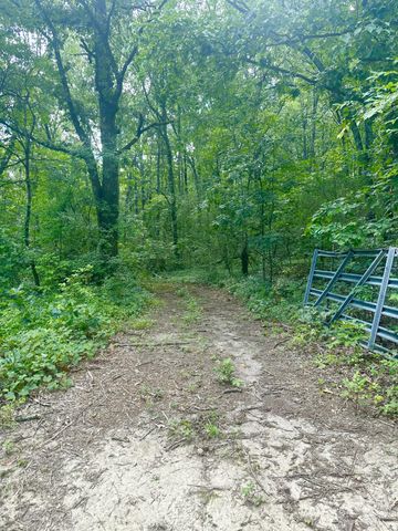 0 New Ridge & Newt Johnson Road, Chickamauga, GA 30707