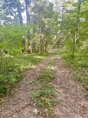 0 New Ridge & Newt Johnson Road, Chickamauga, GA 30707