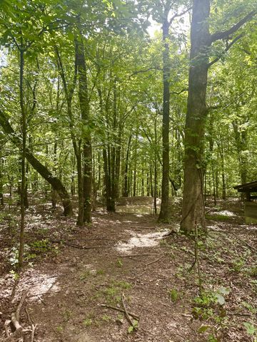 0 New Ridge & Newt Johnson Road, Chickamauga, GA 30707