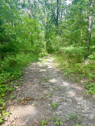 0 New Ridge & Newt Johnson Road, Chickamauga, GA 30707