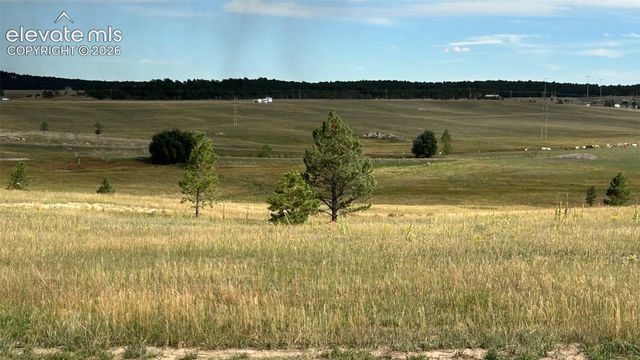 18833 Cherry Springs Ranch Drive, Monument, CO 80132