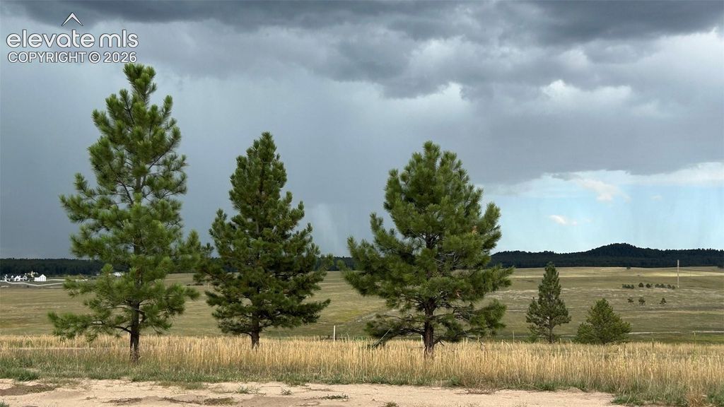 18833 Cherry Springs Ranch Drive, Monument, CO 80132 — photo 5