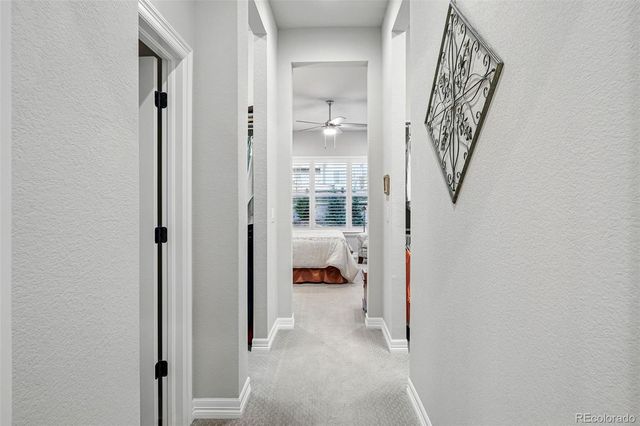 5506 Water Avens Drive, Castle Rock, CO 80104
