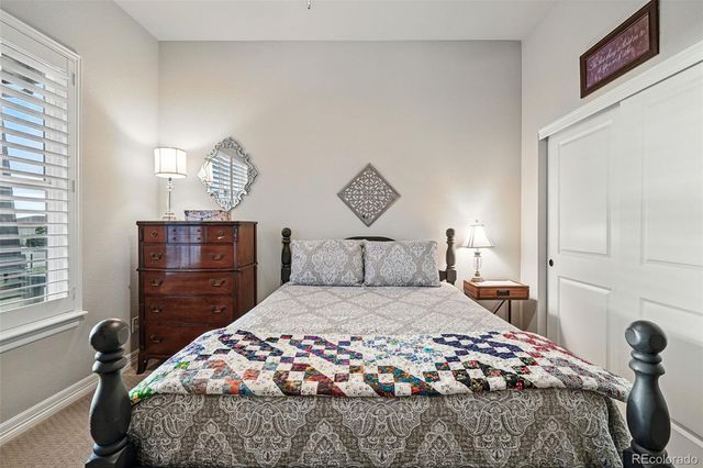 5506 Water Avens Drive, Castle Rock, CO 80104