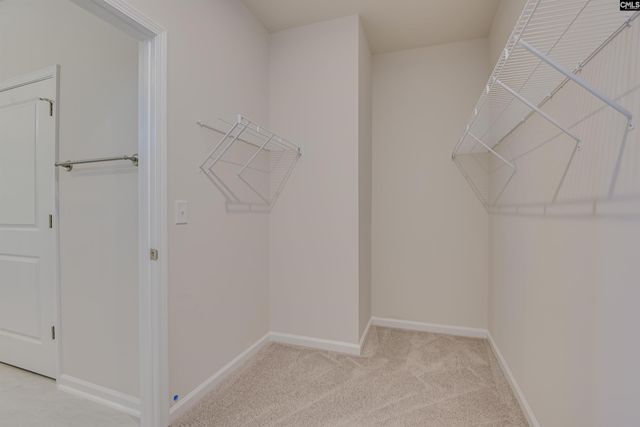 308 Brass Billion Path, Lexington, SC 29073