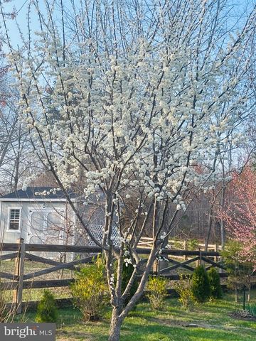 14220 BELLE AVENUE, Culpeper, VA 22701