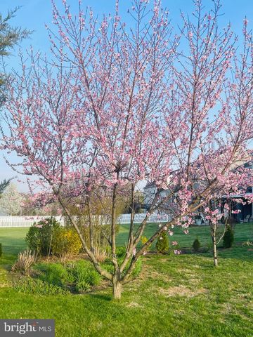 14220 BELLE AVENUE, Culpeper, VA 22701