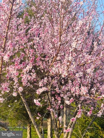 14220 BELLE AVENUE, Culpeper, VA 22701