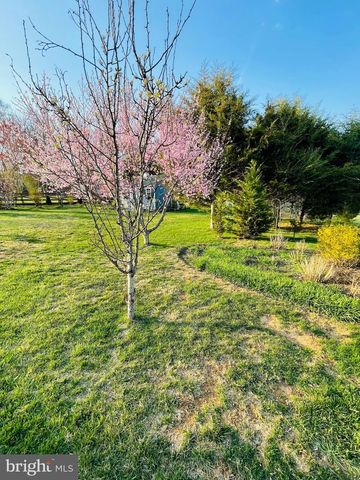 14220 BELLE AVENUE, Culpeper, VA 22701