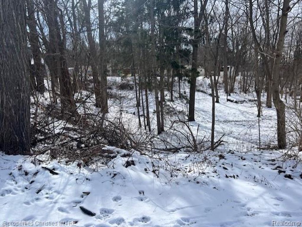 439 Alberta Street Lot 81, Auburn Hills, MI 48326