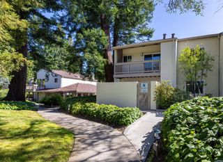 19113 Vineyard Lane, Saratoga, CA 95070
