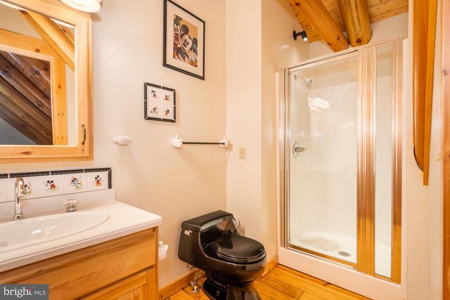 17051 LAUREL RUN RD SW, Barton, MD 21521