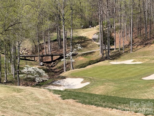 99999 Chestertown Drive, Mill Spring, NC 28756