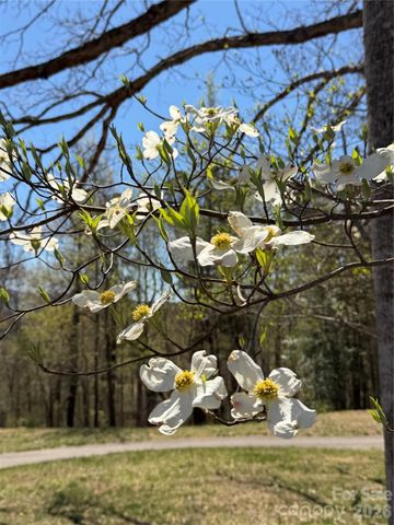 99999 Chestertown Drive, Mill Spring, NC 28756