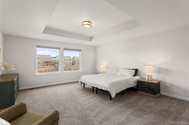 17529 Lucky Penny Lane, Monument, CO 80132