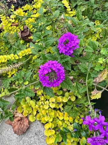 227 Reep Drive, Morganton, NC 28655