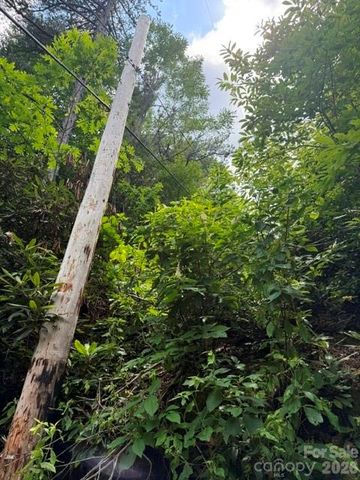 99999 NC 9 Highway, Black Mountain, NC 28711