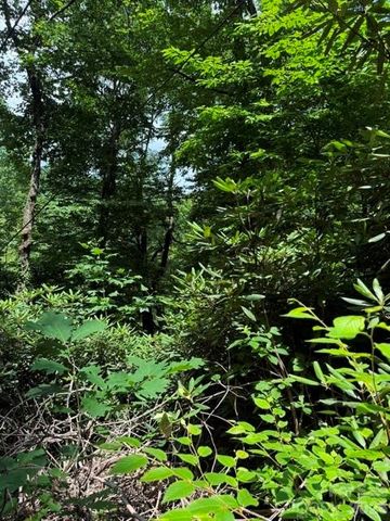 99999 NC 9 Highway, Black Mountain, NC 28711