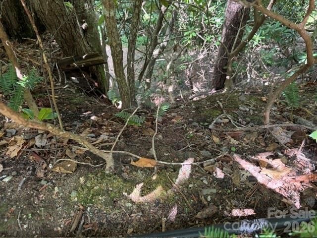 99999 NC 9 Highway, Black Mountain, NC 28711