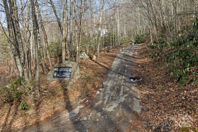 842 Grouse Road, Clyde, NC 28721