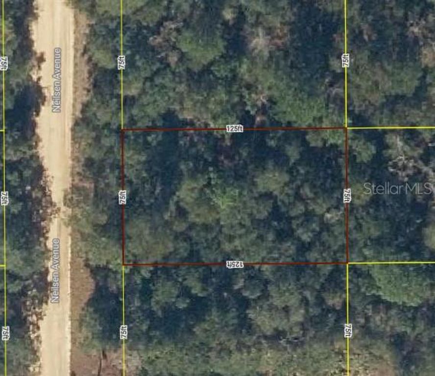 Lot 17 NEILSEN AVENUE, Interlachen, FL 32148