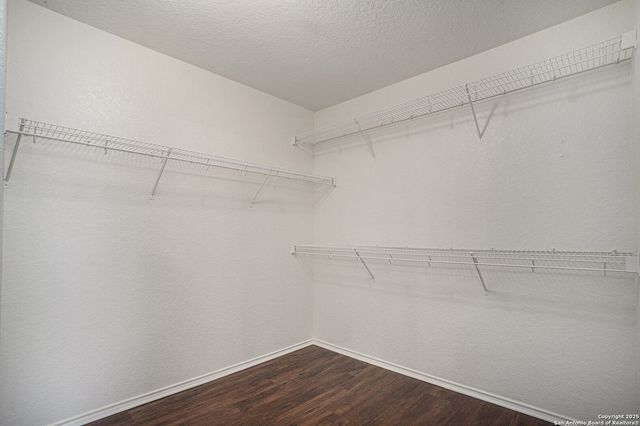 6163 Brandys Farm, San Antonio, TX 78244
