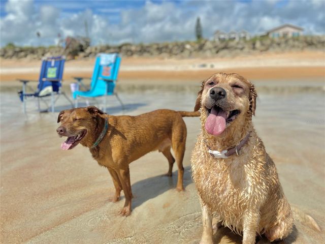 304 N 7TH STREET, Flagler Beach, FL 32136