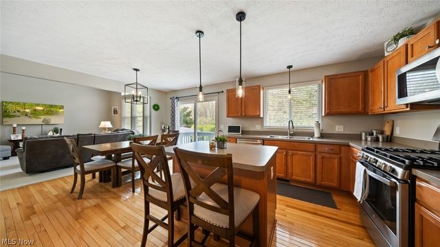 9660 Sunray Dr Drive, Olmsted Twp, OH 44138