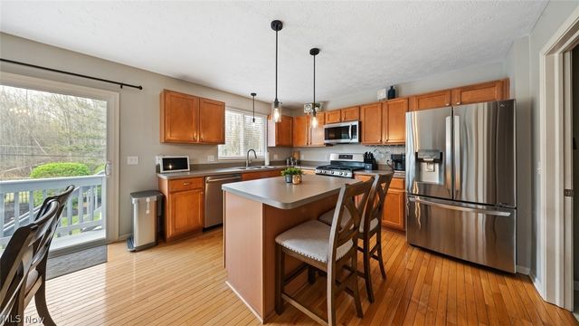 9660 Sunray Dr Drive, Olmsted Twp, OH 44138