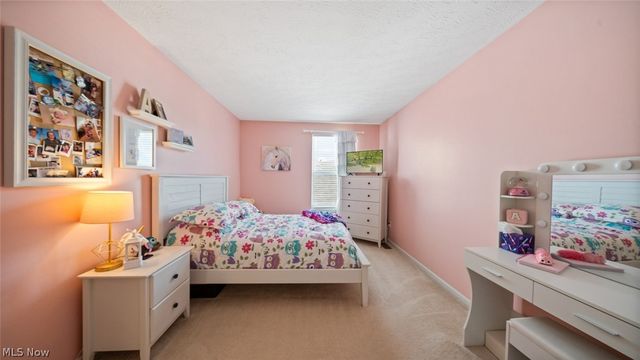 9660 Sunray Dr Drive, Olmsted Twp, OH 44138