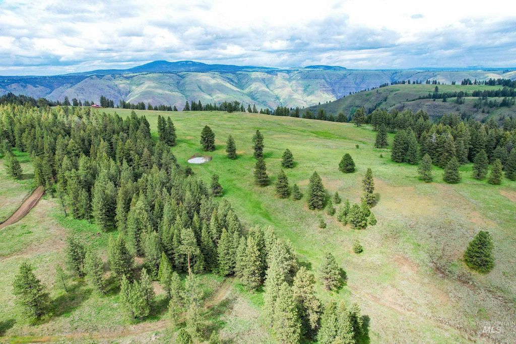 205 Burnt Creek Road, Cottonwood, ID 83522