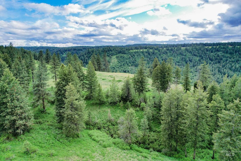 205 Burnt Creek Road, CottonWood, ID 83522 photo 11