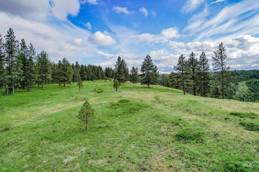 205 Burnt Creek Road, CottonWood, ID 83522 photo 12