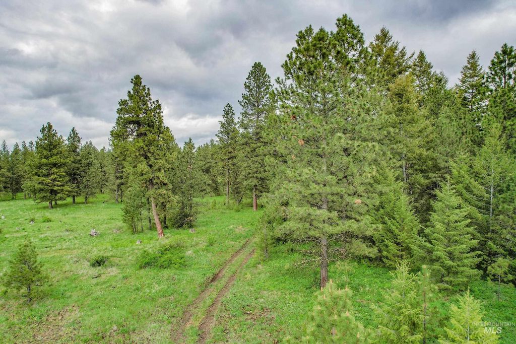 205 Burnt Creek Road, CottonWood, ID 83522 photo 13